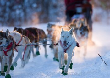 Die Zukunft Des Nachhaltigen Wintertourismus In Schweden 5 2 1