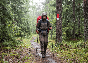 Pilgrim On The S:t Olavsleden