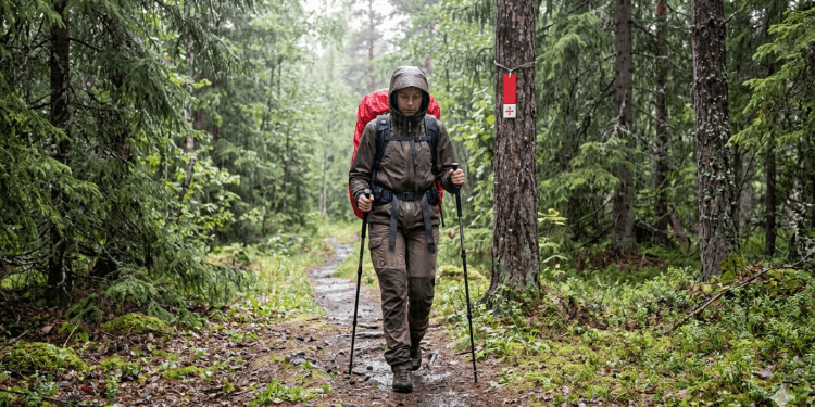 Pilgrim On The S:t Olavsleden